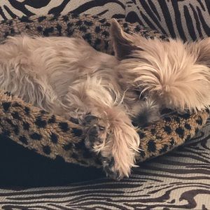 Meet your Posher, Laura